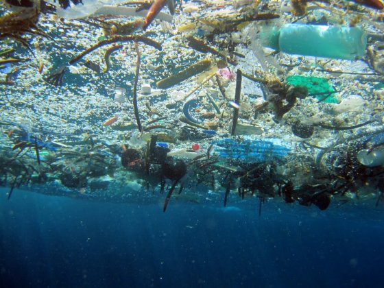 Rifiuti plastici in mare